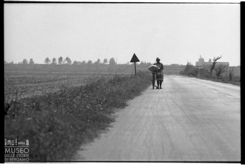 Delta del Po, strada tra i campi