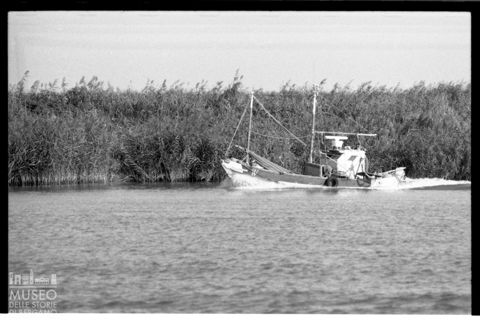 Delta del Po, la pesca
