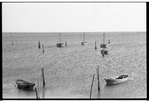 Delta del Po, Sacca di Scardovari