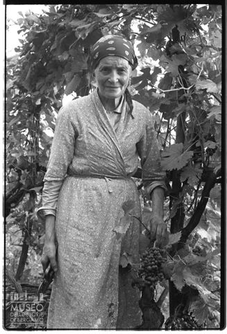 Ritratto di donna tra i filari di vite