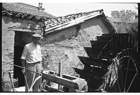 Il mugnaio di Vigna del Pero
