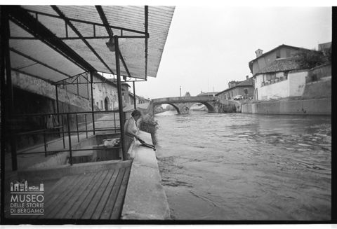 Lavandaia a Boffalora