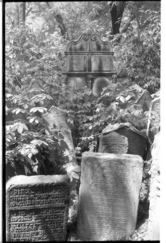 Ritratto di donna nel cimitero ebraico di Praga