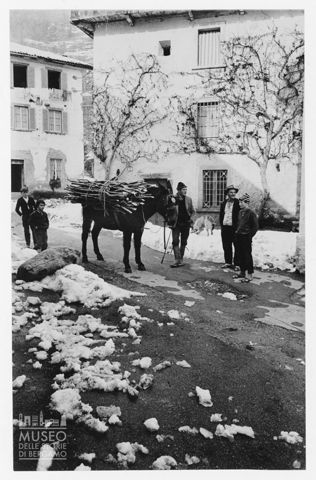 Trasporto della legna in Valle Taleggio