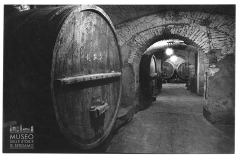 Cantina marchigiana