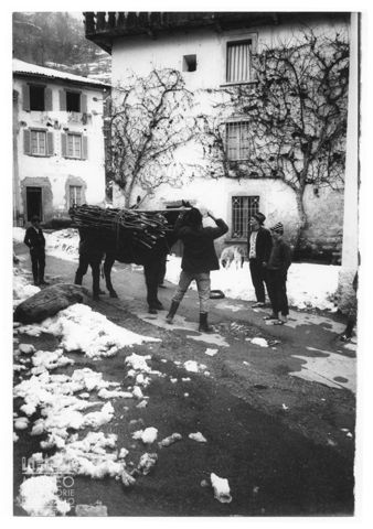 Trasporto della legna in Valle Taleggio