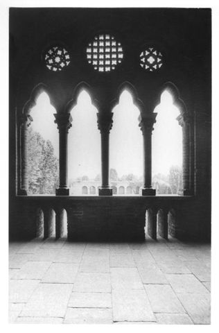 Quadrifora della corte interna del Castello Visconteo di Pavia