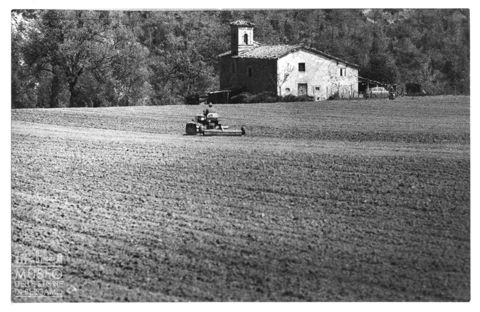 Scena di vita contadina