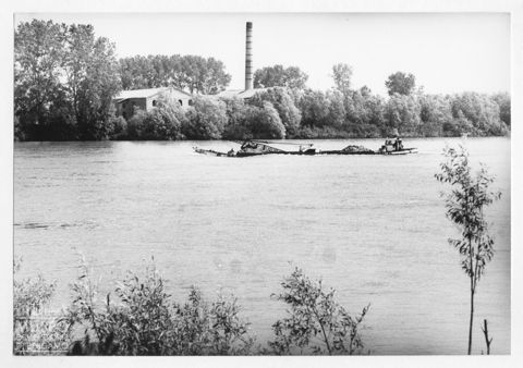Imbarcazione che naviga lungo un fiume