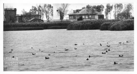 Delta del Po, paesaggio lagunare con anatre