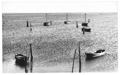 Delta del Po, Sacca di Scardovari