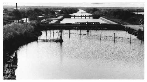 Delta del Po, le valli da pesca