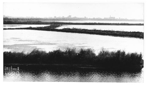Delta del Po, valli da pesca a Pila