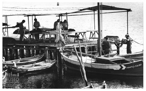 Delta del Po, la mitilicoltura nella Sacca di Scardovari