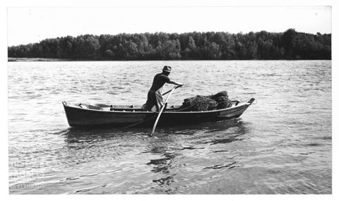Delta del Po, la pesca delle anguille