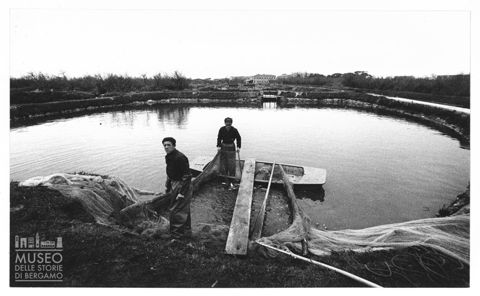 Delta del Po, l'allevamento del pesce in Valle Bagliona