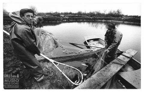 Delta del Po, l'allevamento del pesce in Valle Bagliona