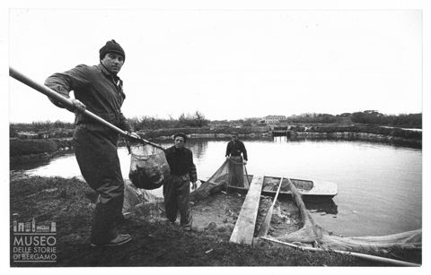Delta del Po, l'allevamento del pesce in Valle Bagliona
