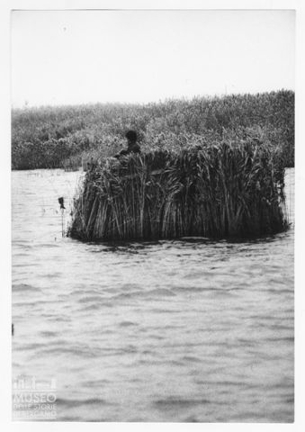 Delta del Po, la caccia alle anatre