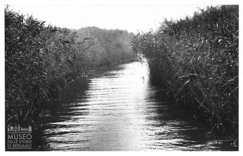 Delta del Po, paesaggio lagunare