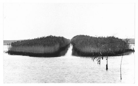 Delta del Po, paesaggio lagunare a Pila