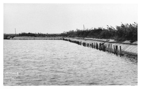 Delta del Po, le valli da pesca