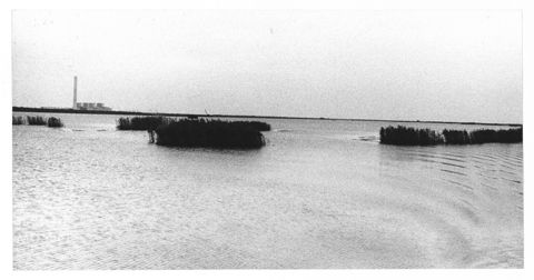 Delta del Po, paesaggio lagunare