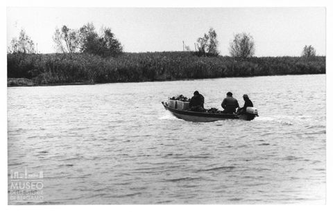 Delta del Po, la caccia alle anatre