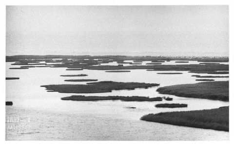 Delta del Po, paesaggio lagunare
