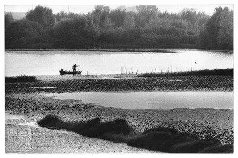 Paesaggio lagunare