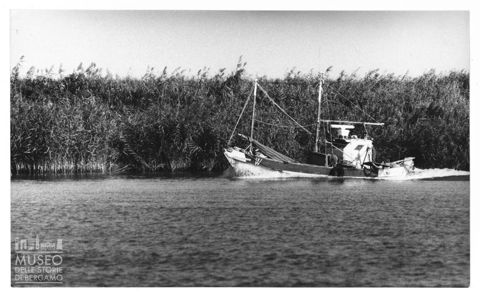 Delta del Po, la pesca