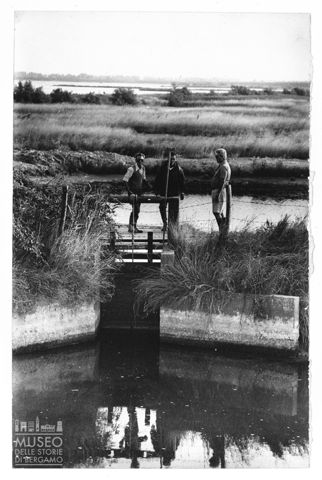Delta del Po, Laguna di Porto Viro