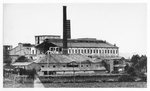 Delta del Po, lo zuccherificio di Cavanella Po