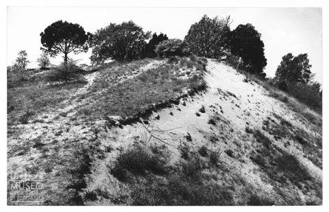 Delta del Po, le dune di sabbia a Rosolina