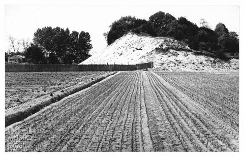Delta del Po, paesaggio a Rosolina