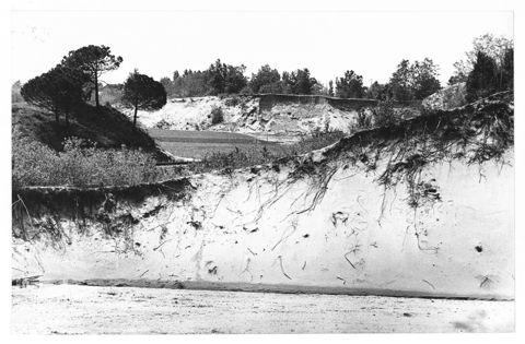 Delta del Po, le dune di sabbia a Rosolina