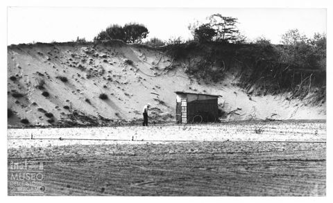Delta del Po, campi coltivati e dune di sabbia a Rosolina