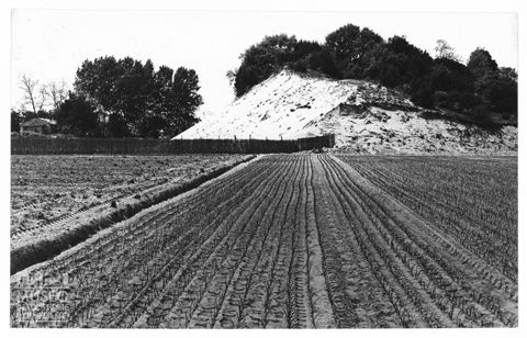 Delta del Po, paesaggio a Rosolina