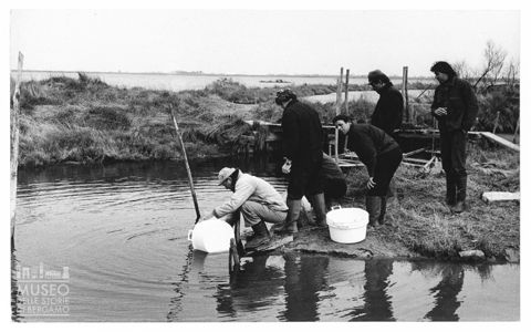Delta del Po, la pesca in Valle Bagliona