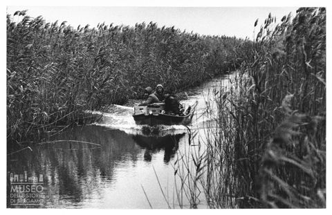 Delta del Po, ritorno da una battuta di caccia