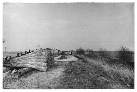 Delta del Po, paesaggio agreste presso Santa Giulia