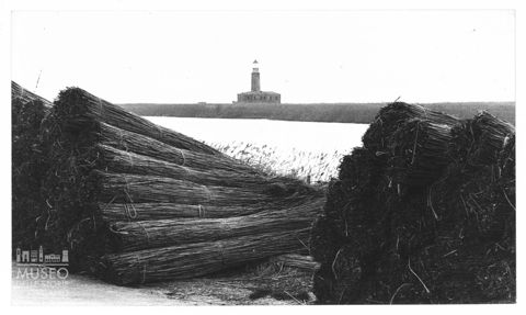 Delta del Po, paesaggio agreste presso Goro