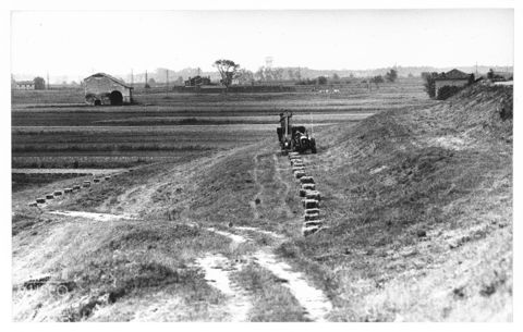Delta del Po, paesaggio agreste presso Cavanella Po