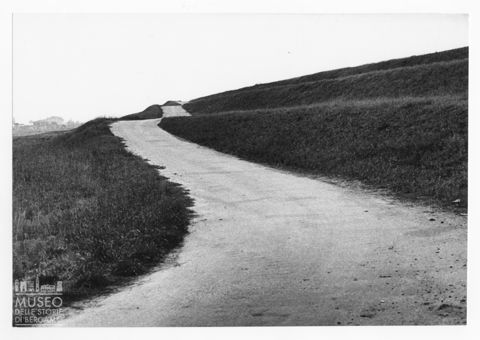 Delta del Po, strada tra i campi