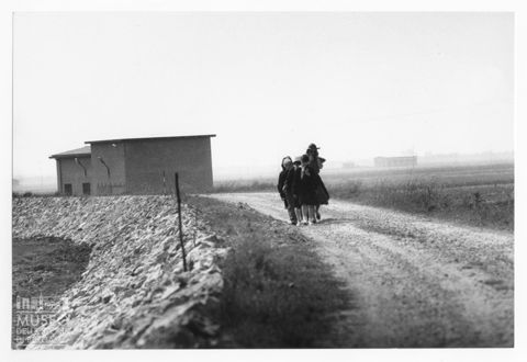 Delta del Po, scena di vita quotidiana