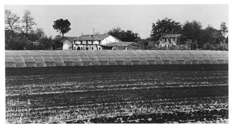 Delta del Po, campi coltivati e serre a Rosolina