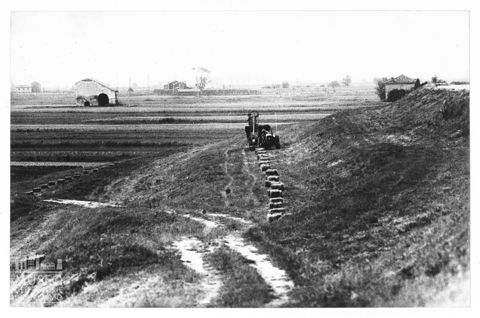 Delta del Po, paesaggio agreste presso Cavanella Po