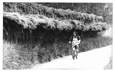 Delta del Po, donna in bicicletta a Scardovari