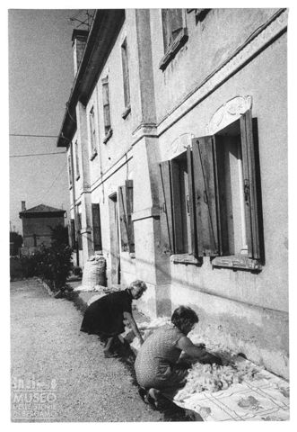 Delta del Po, lavori domestici