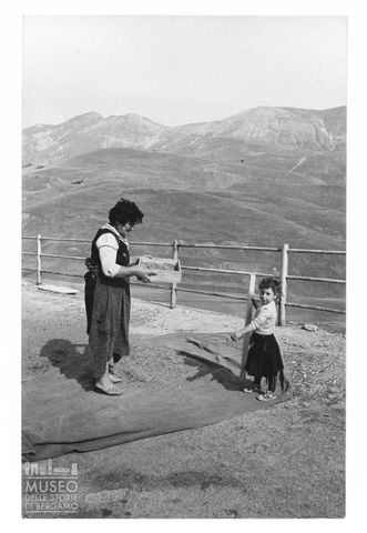 Attività agricola nelle Marche